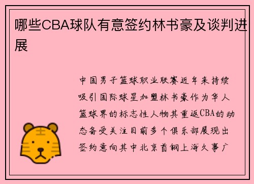 哪些CBA球队有意签约林书豪及谈判进展