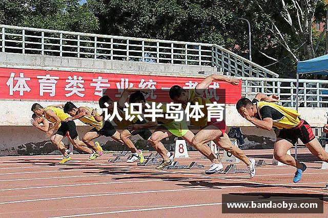 认识半岛体育